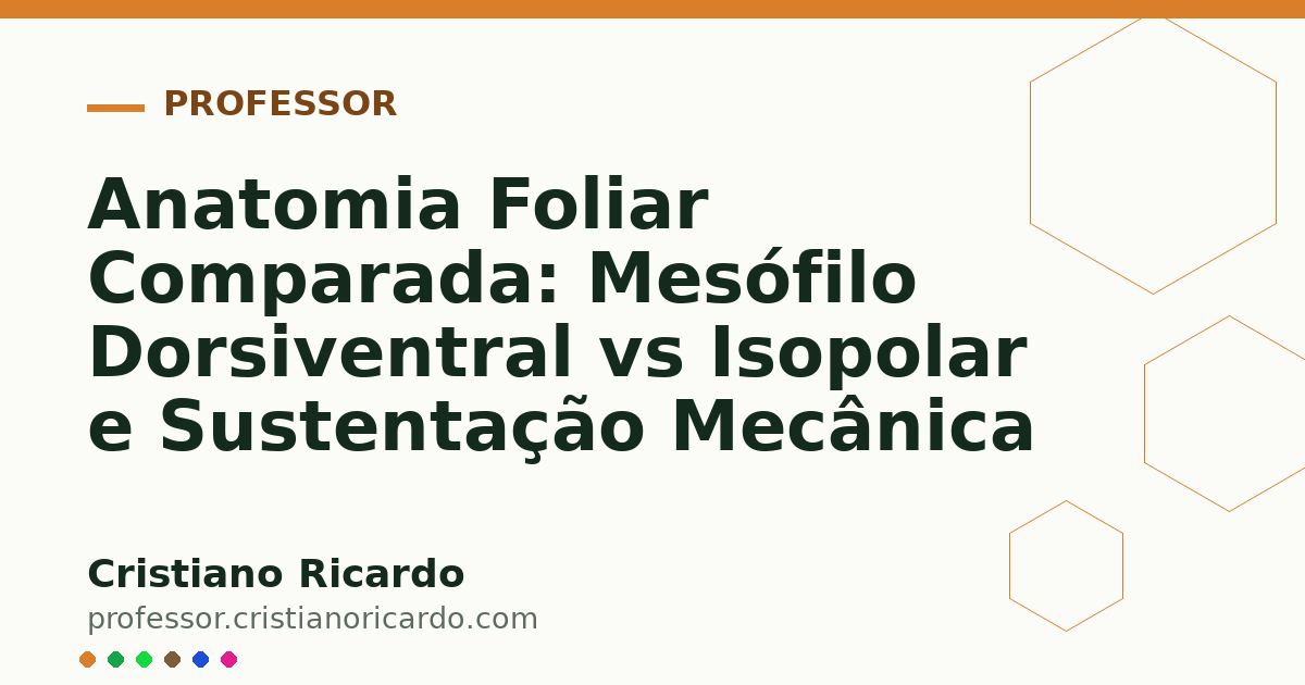 Card OG automático: Anatomia Foliar Comparada: Mesófilo Dorsiventral vs Isopolar e Sustentação Mecânica